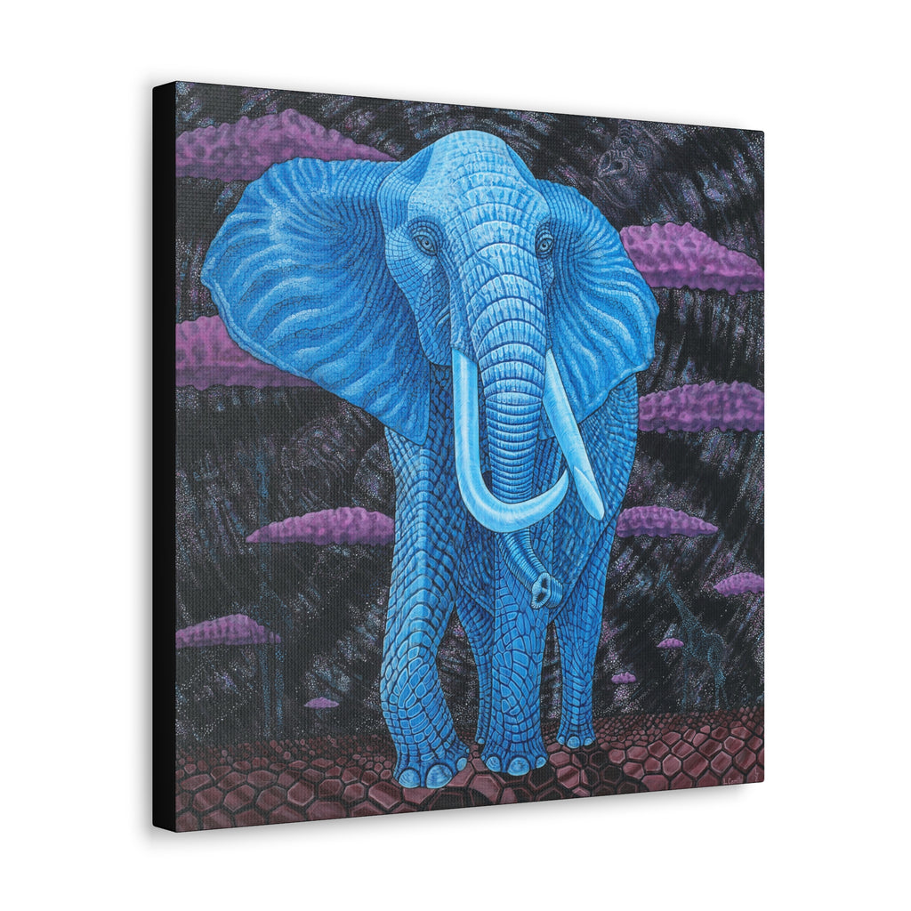 3C. Dream Elephant Stretched Canvas Print— Midnight @ Lake Manyarra