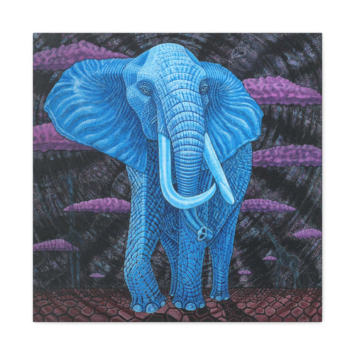 1C. Dream Elephant Stretched Canvas  " Elephant walking around my tent"