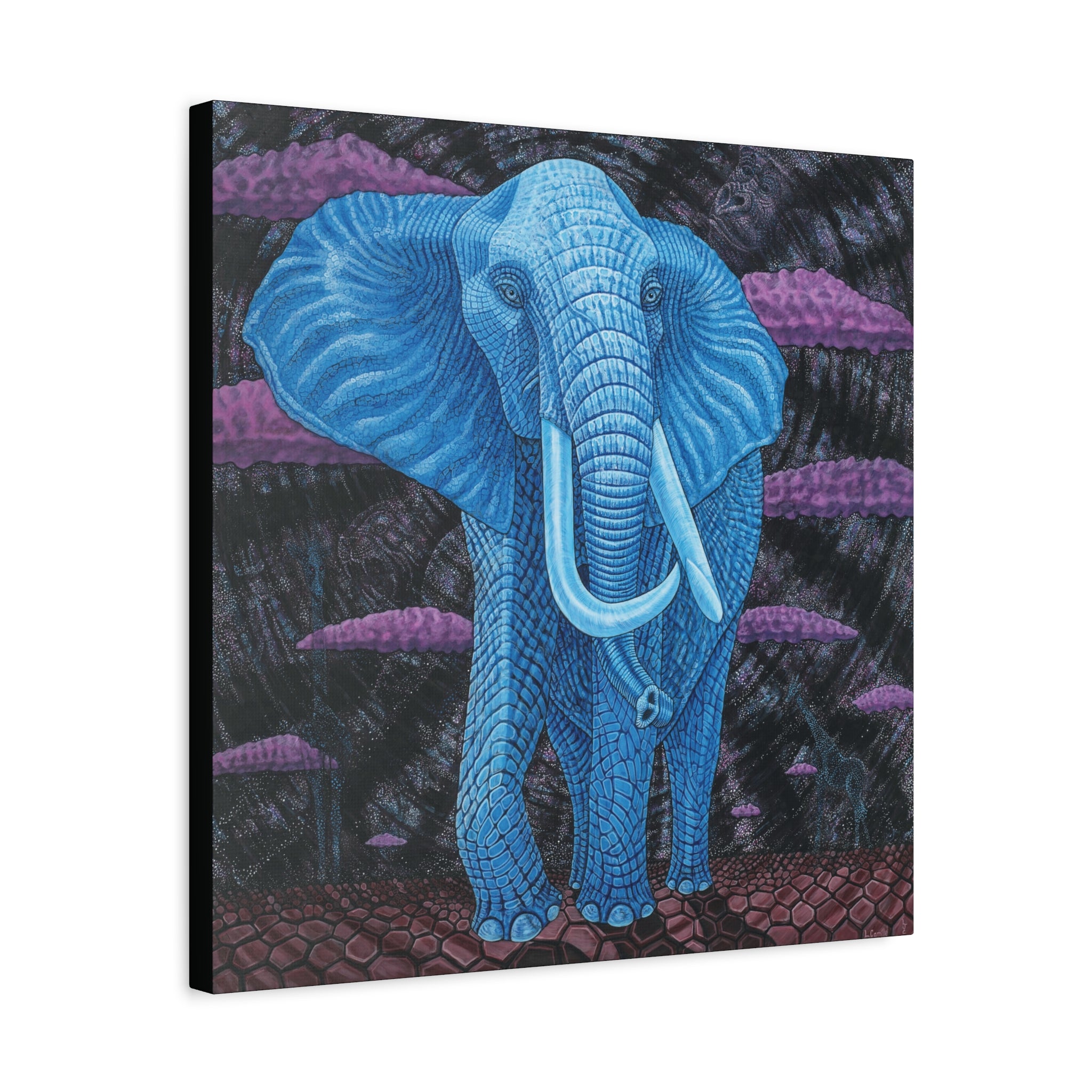 1D. Elephant 3 Close Encounter  Canvas Print From