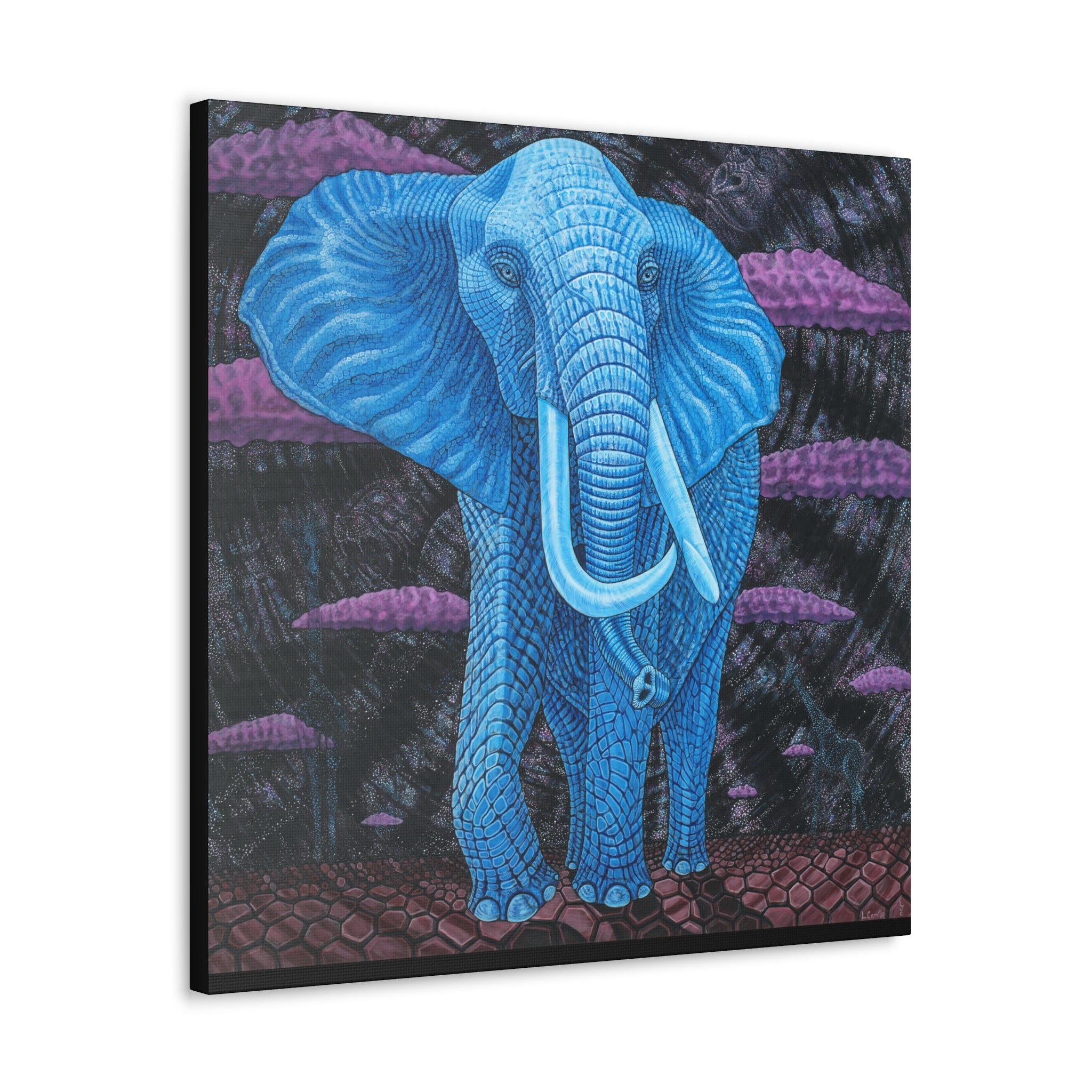 1C. Dream Elephant Stretched Canvas Print— Midnight @ Lake Manyarra