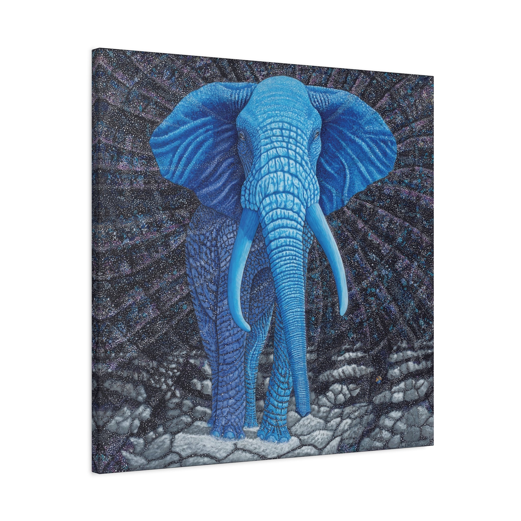 Safari Blue 2, Stretched Canvas Print