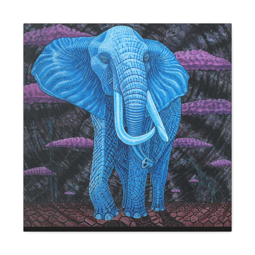 1C. Dream Elephant Stretched Canvas Print— Midnight @ Lake Manyarra