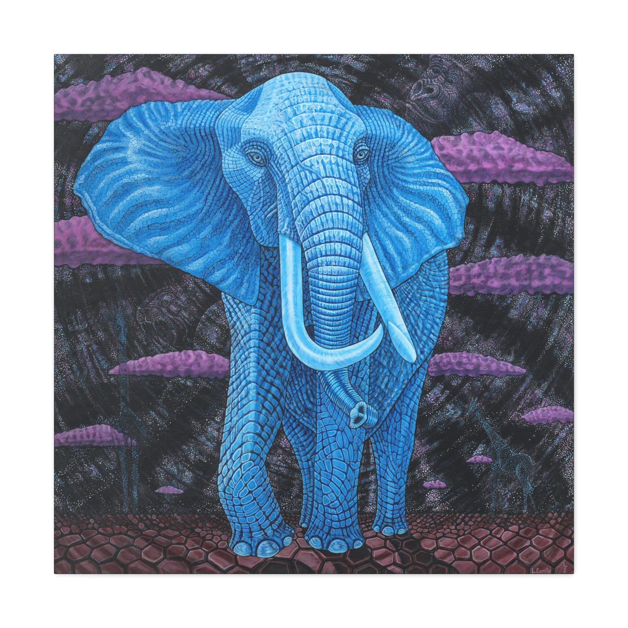 1C. Dream Elephant Stretched Canvas  " Elephant walking around my tent"